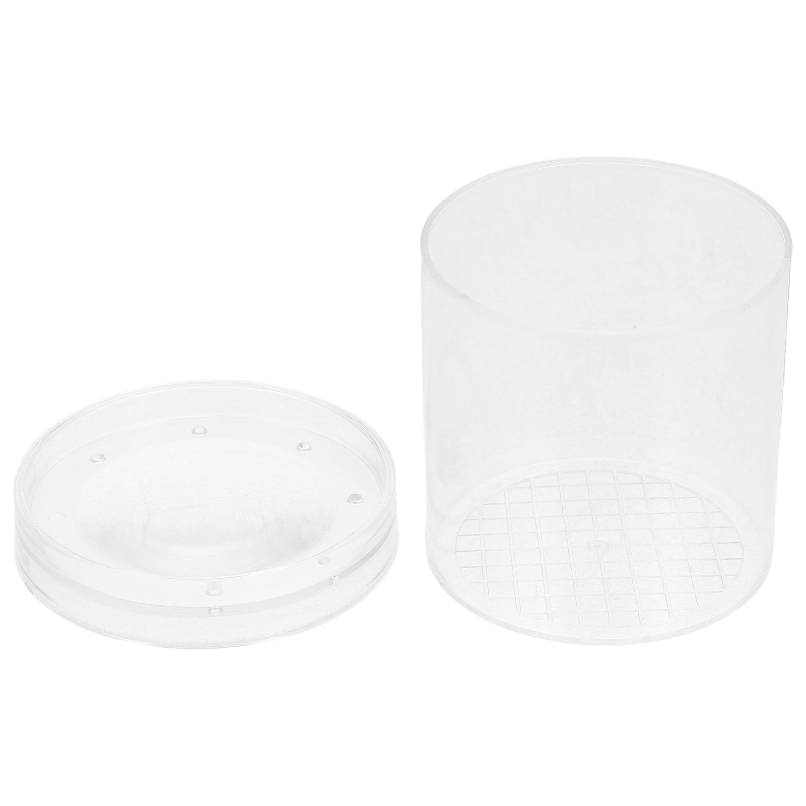 3X Magnifying Insect Observati - Science Toy recension och pris
