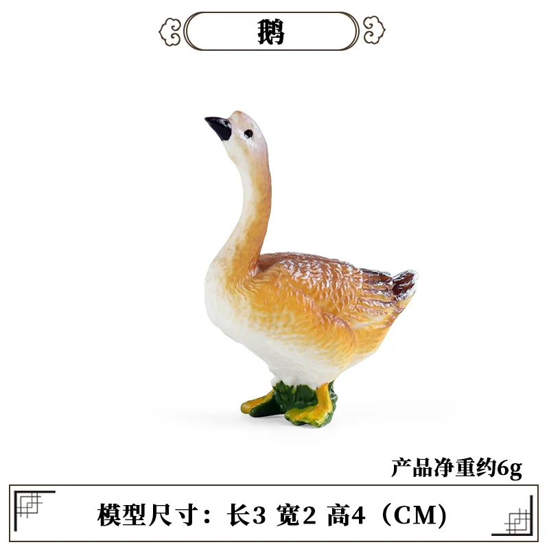 Education Teaching Tool Poultr - Science Toy recension och pris